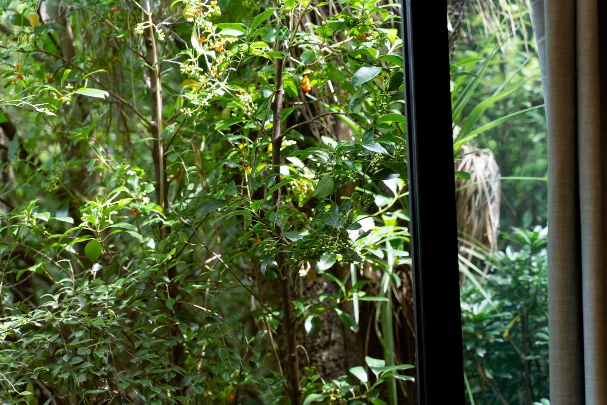 クイーンズタウン Ora Retreatヴィラ エクステリア 写真